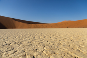 Deadvlei 3