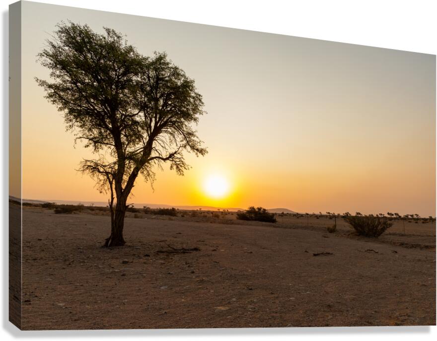 Namibia 1 Canvas Print