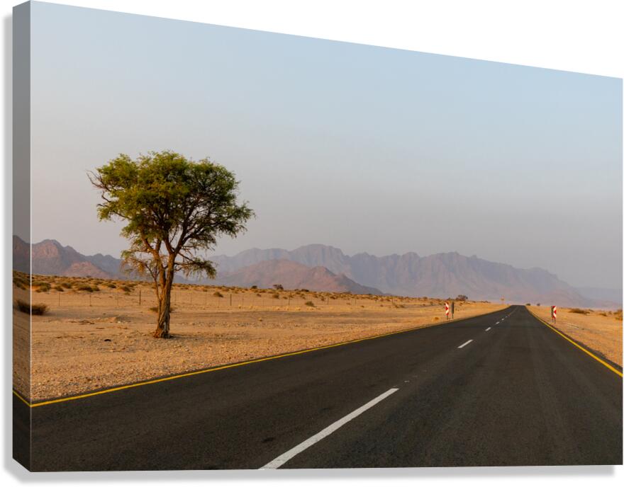 Namibia 3 Canvas Print