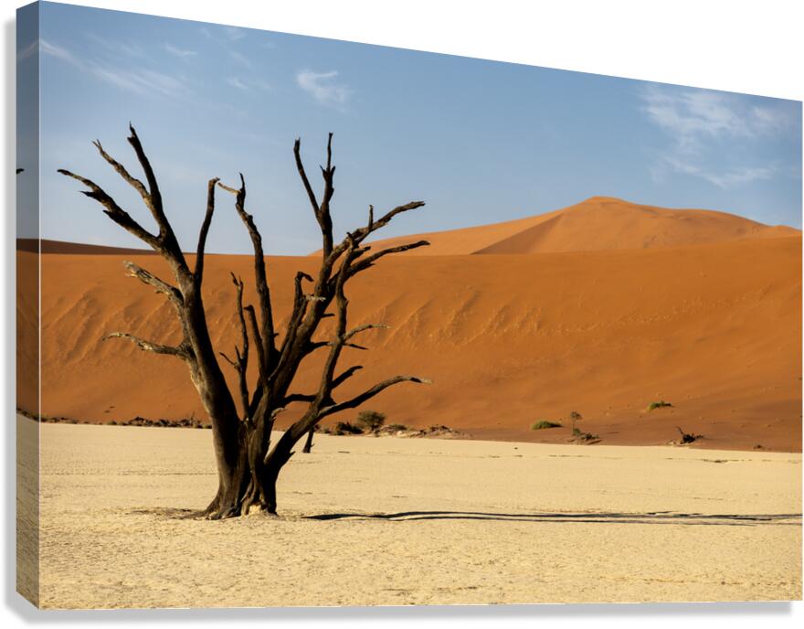 Deadvlei 1 Canvas Print