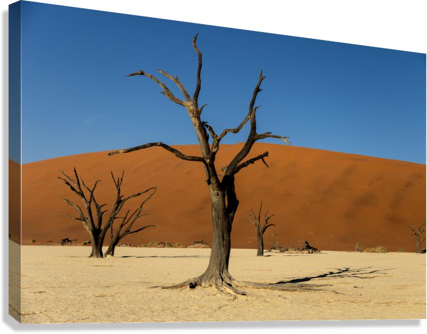 Deadvlei 2 Canvas Print