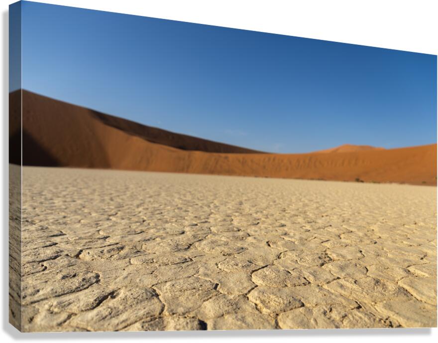 Deadvlei 3 Canvas Print