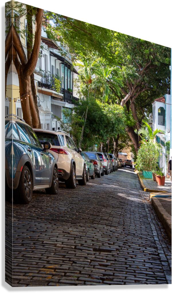 Puerto Rico 5 Canvas Print