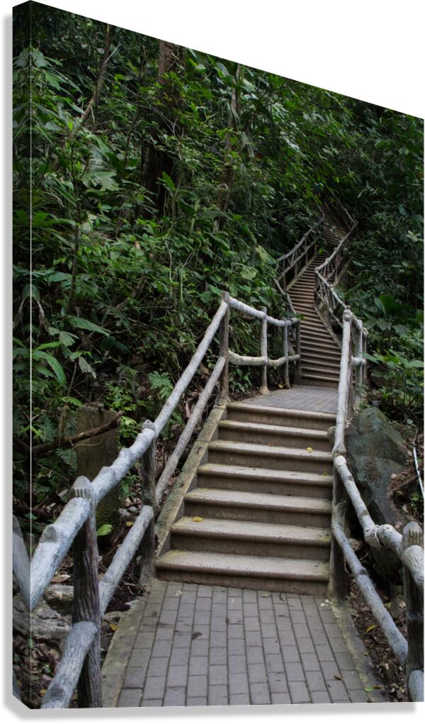 La Fortuna 1 Canvas Print