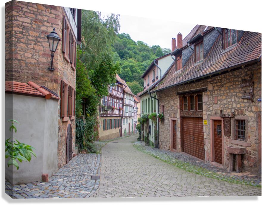 Weinheim 1 Canvas Print