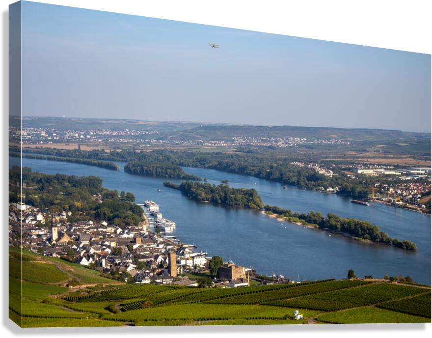 Niederwald 1 Canvas Print