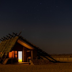 Cabin & Stars 1