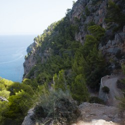 Mallorca 8