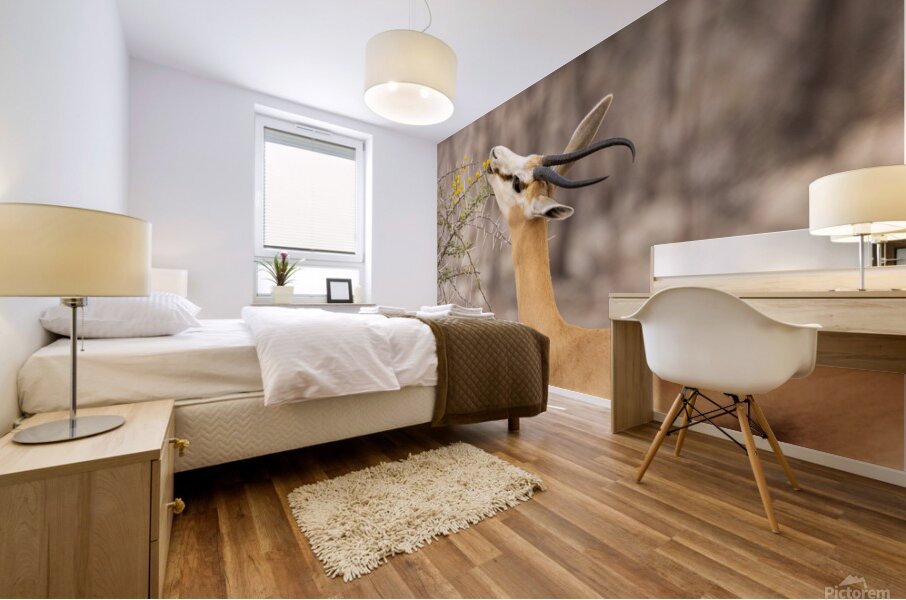 Springbok 1 Mural print