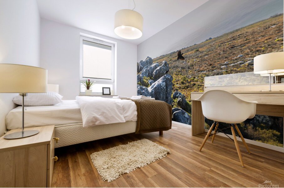 Table Mountain 1 Mural print