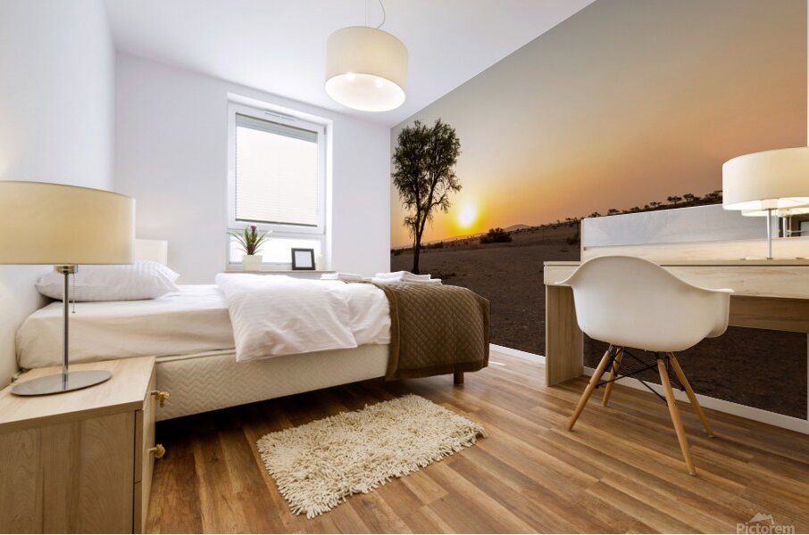 Namibia 1 Mural print