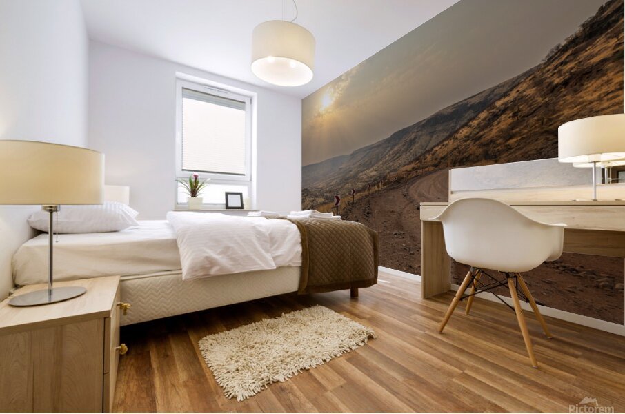 Namibia 2 Mural print