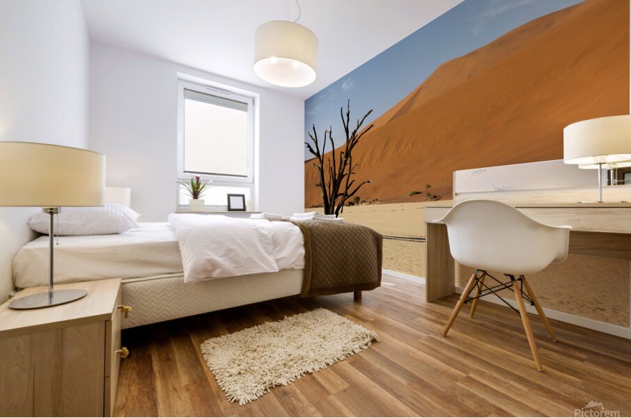 Deadvlei 1 Mural print