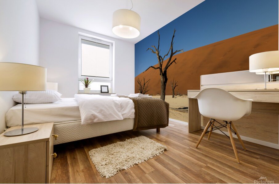 Deadvlei 2 Mural print