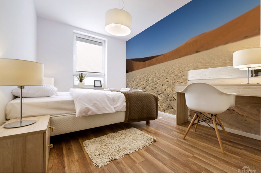 Deadvlei 3 Mural print
