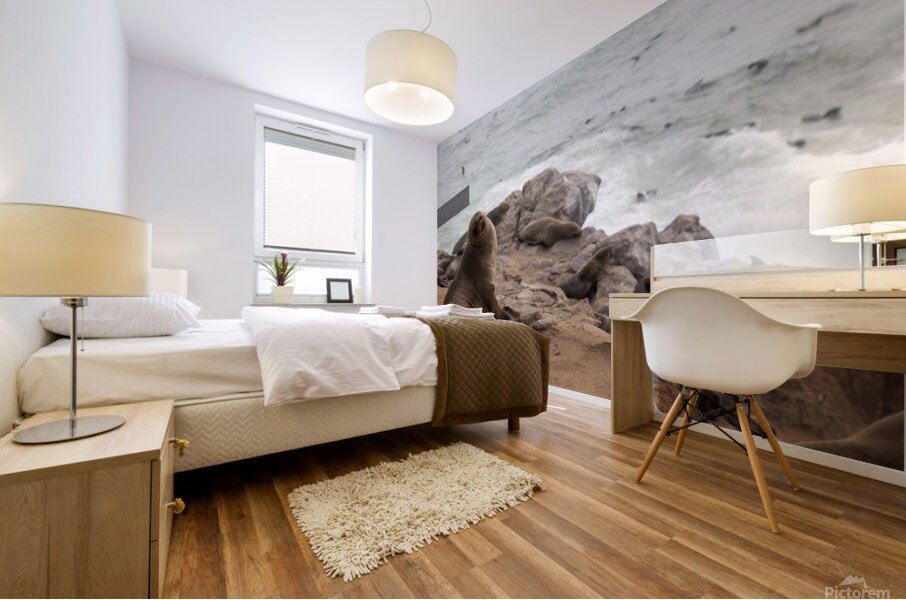 Cape Cross Seal 2 Mural print