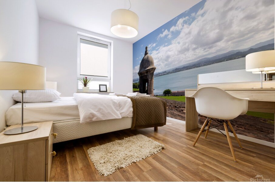 Puerto Rico 1 Mural print