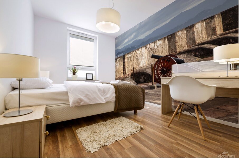 Puerto Rico 2 Mural print