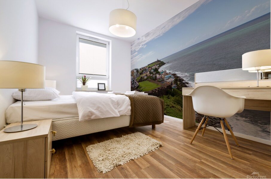 Puerto Rico 3 Mural print