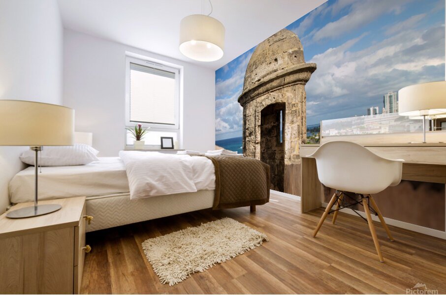 Puerto Rico 4 Mural print