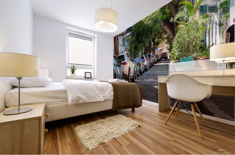 Puerto Rico 5 Mural print