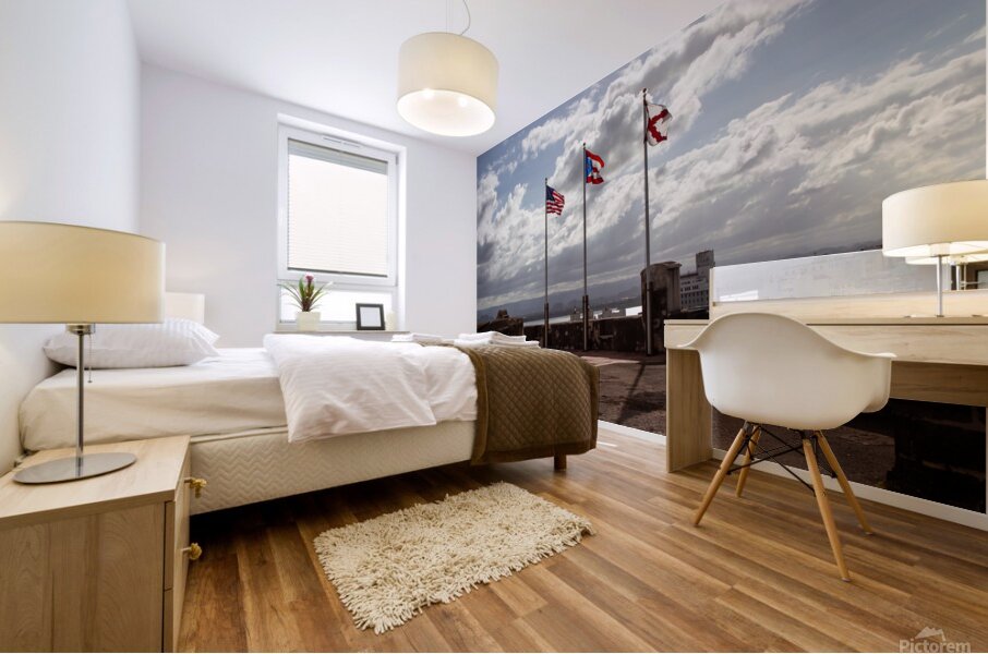 Puerto Rico 6 Mural print