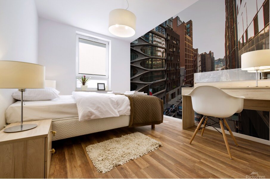 The High Line 2 Mural print