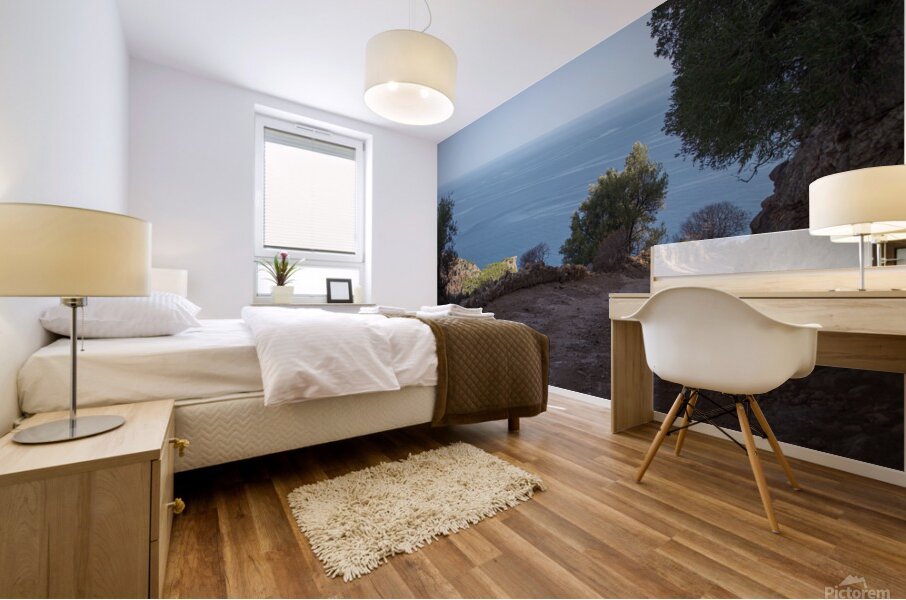 Mallorca 2 Mural print