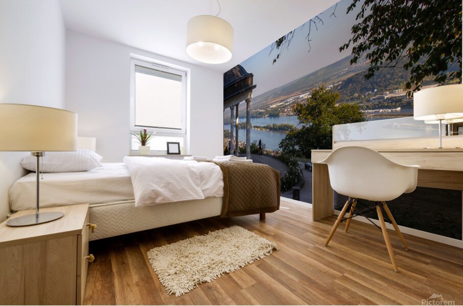 Niederwald 2 Mural print