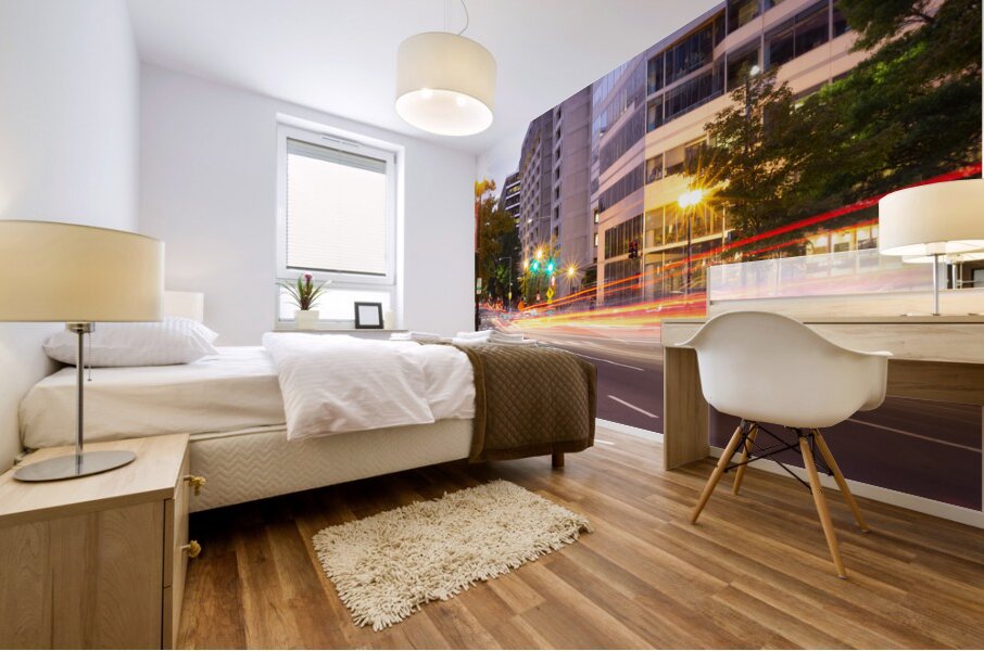 Washington DC 1 Mural print