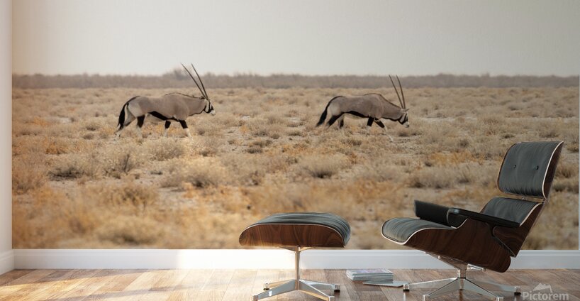Oryx 1 Wall Murals