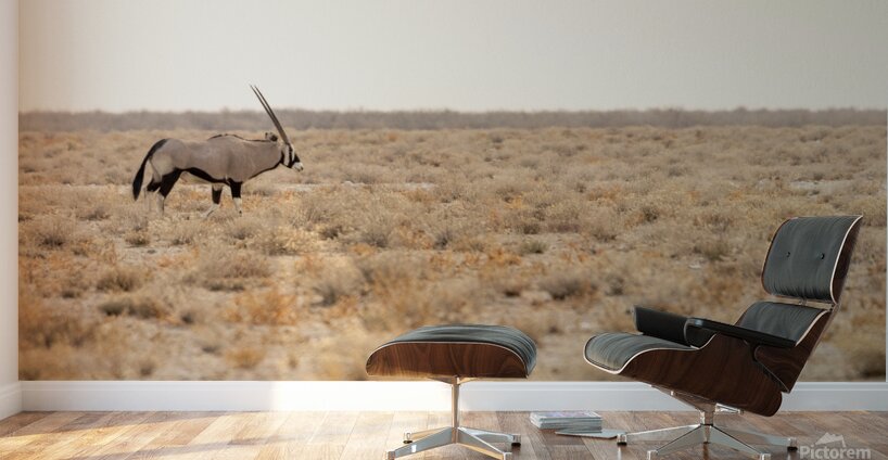 Oryx 2 Wall Murals