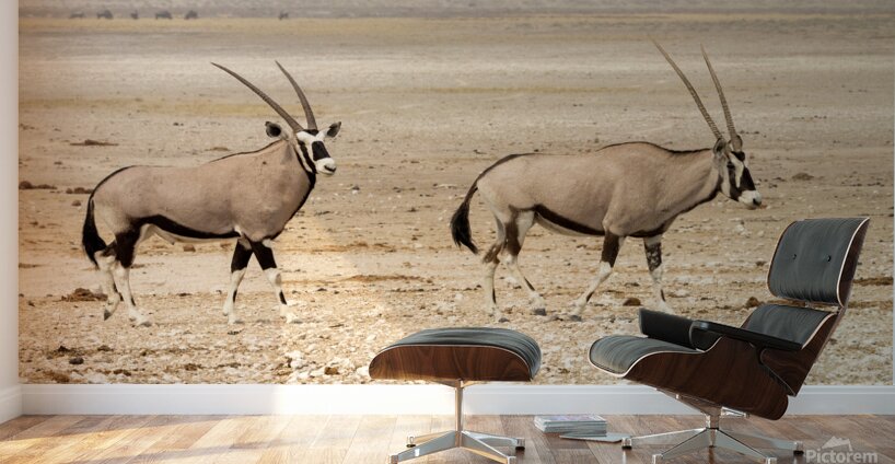 Oryx 3 Wall Murals