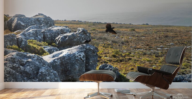 Table Mountain 1 Wall Murals