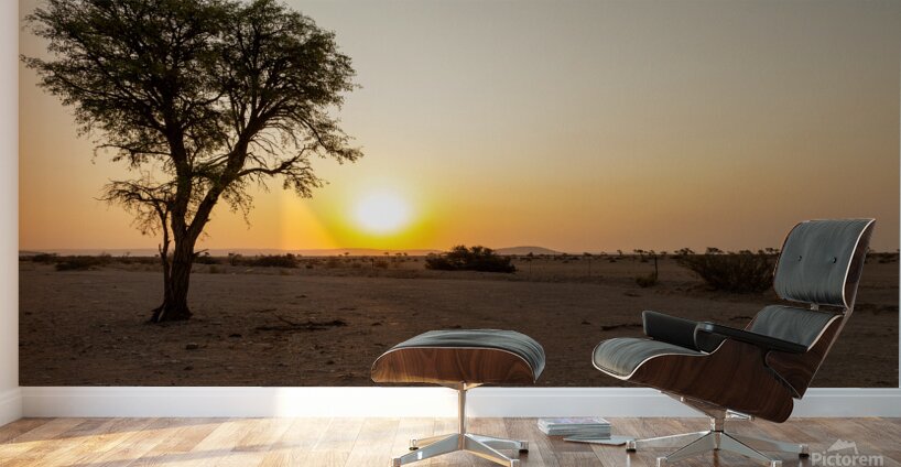 Namibia 1 Wall Murals