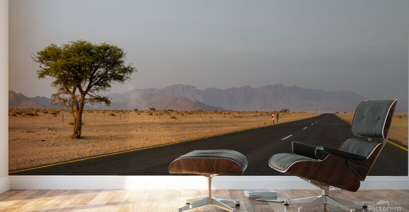 Namibia 3 Wall Murals