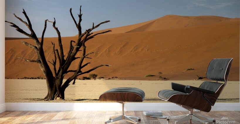 Deadvlei 1 Wall Murals