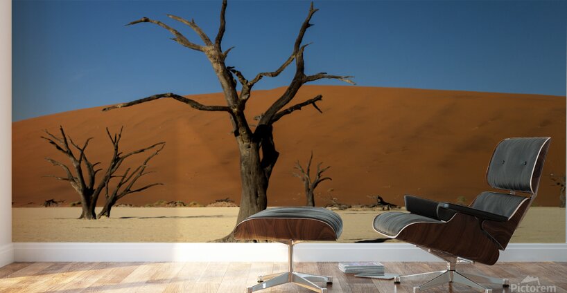 Deadvlei 2 Wall Murals