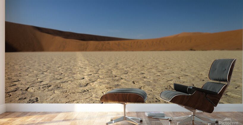 Deadvlei 3 Wall Murals