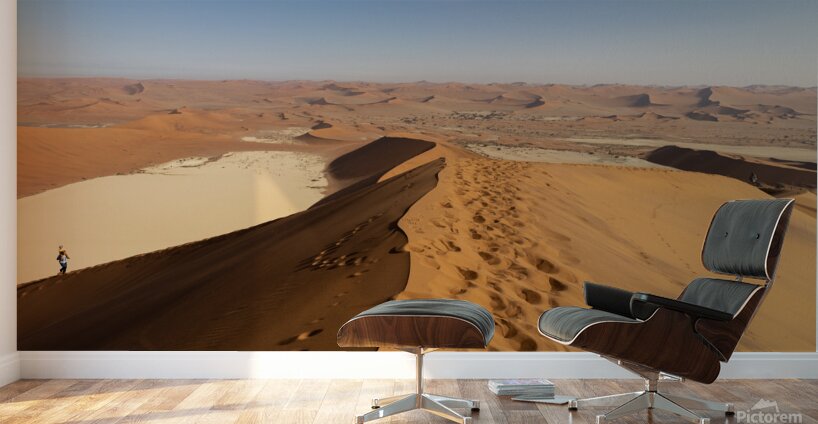 Sossusvlei 1 Wall Murals