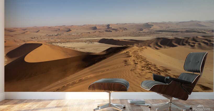Sossusvlei 2 Wall Murals