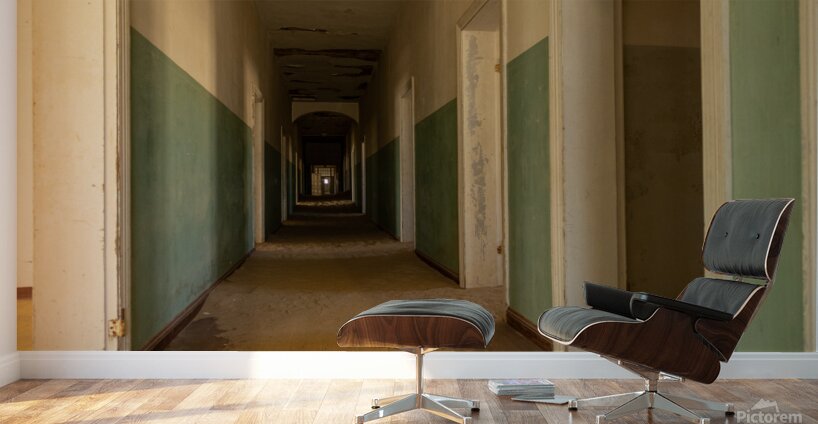 Kolmanskop 1 Wall Murals