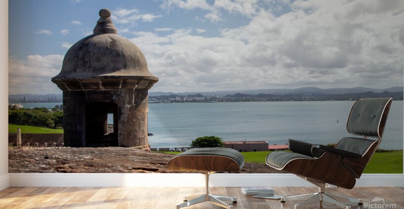 Puerto Rico 1 Wall Murals