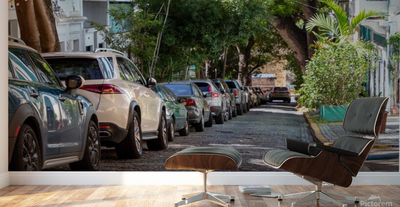 Puerto Rico 5 Wall Murals