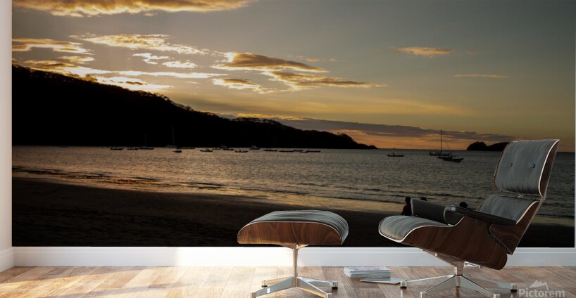 Playa Hermosa 1 Wall Murals