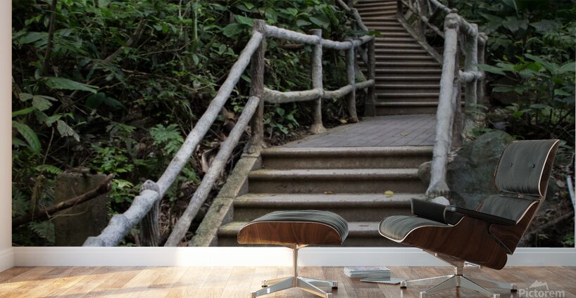 La Fortuna 1 Wall Murals