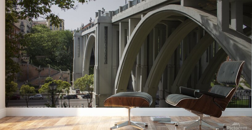 Segovia Viaduct 1 Wall Murals