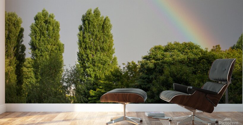 Berlin Wall 1 Wall Murals