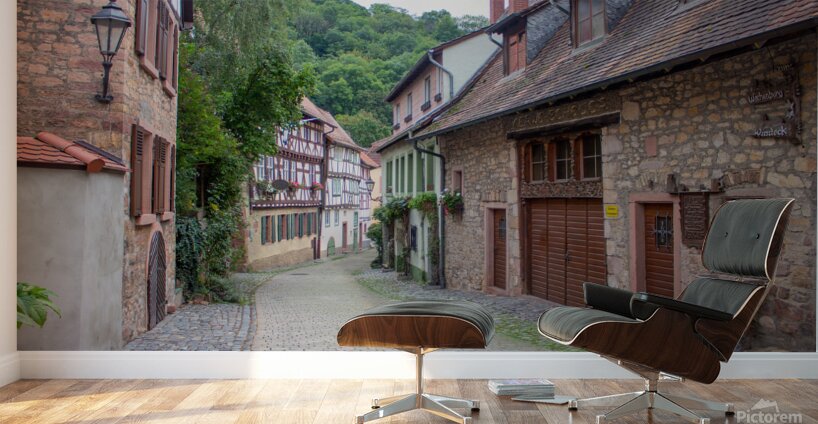 Weinheim 1 Wall Murals