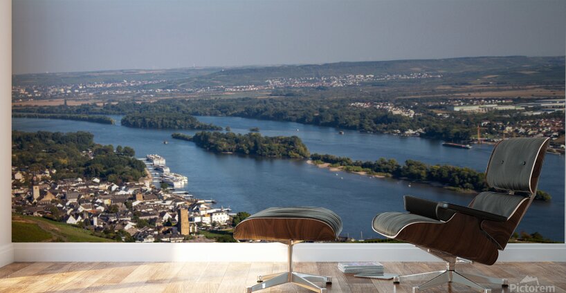 Niederwald 1 Wall Murals